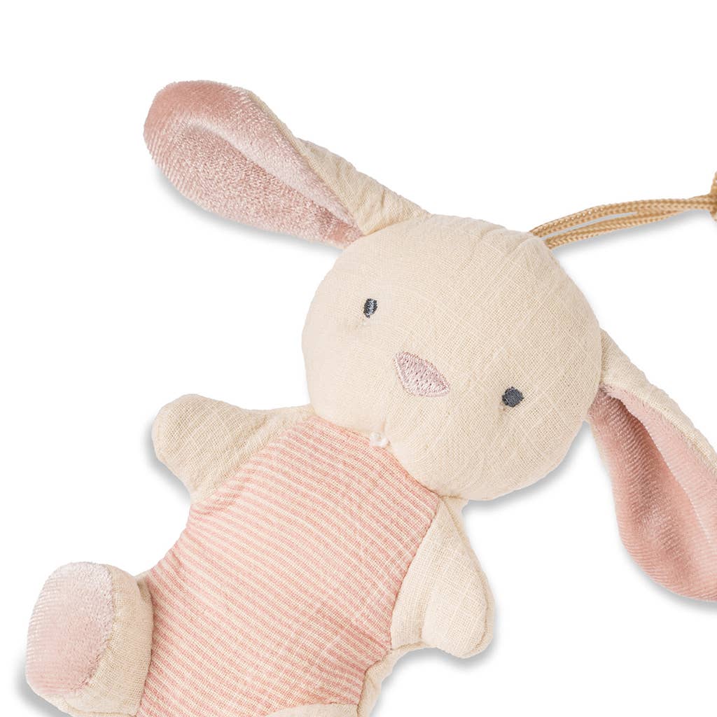 Natural Rubber Pacifier & Lovey Animal: Bunny