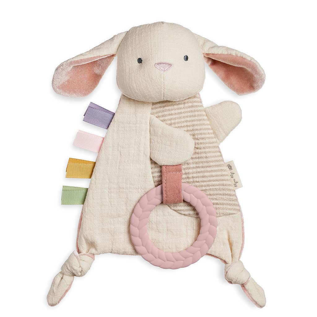 Crinkle Sensory Toy with Teether: Bunny