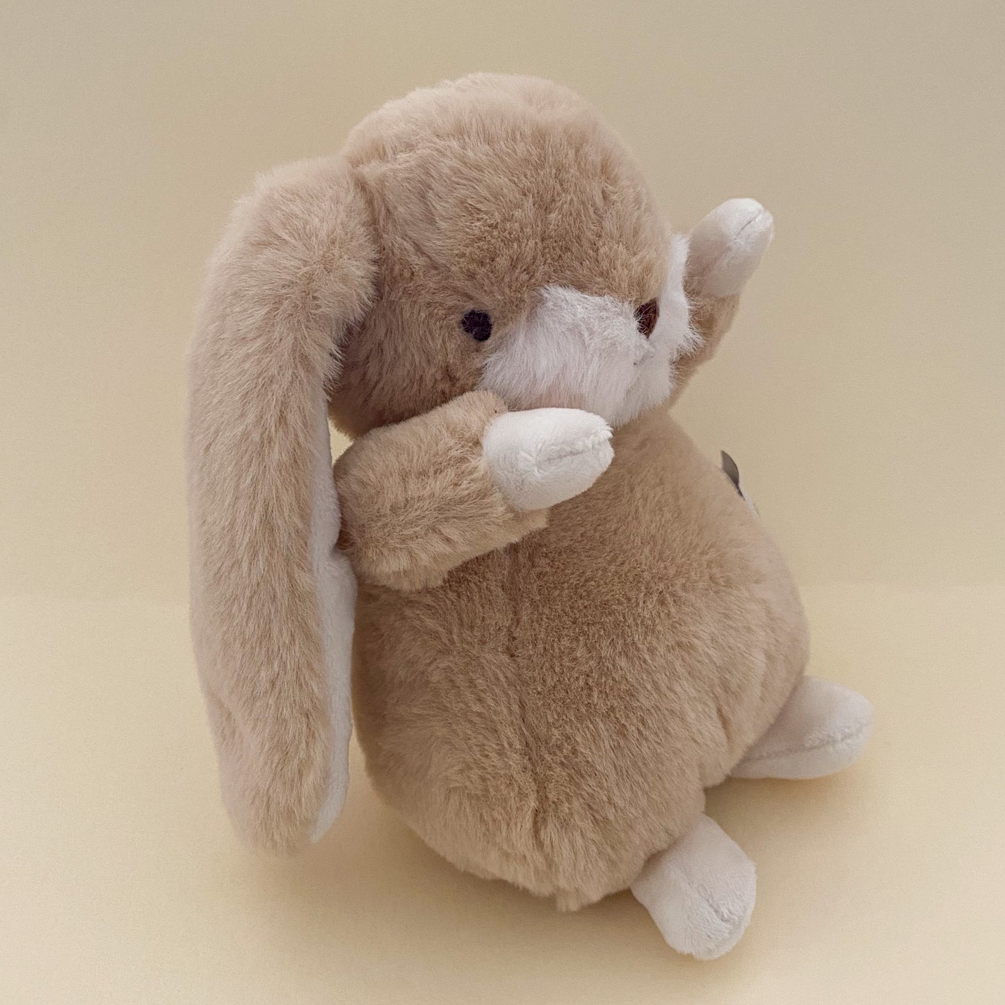 Floppy Eared Bunny