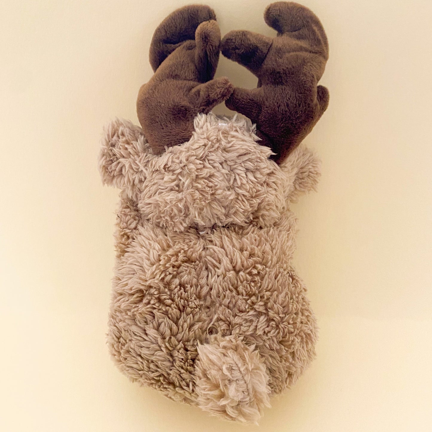 Wee Bruce the Moose
