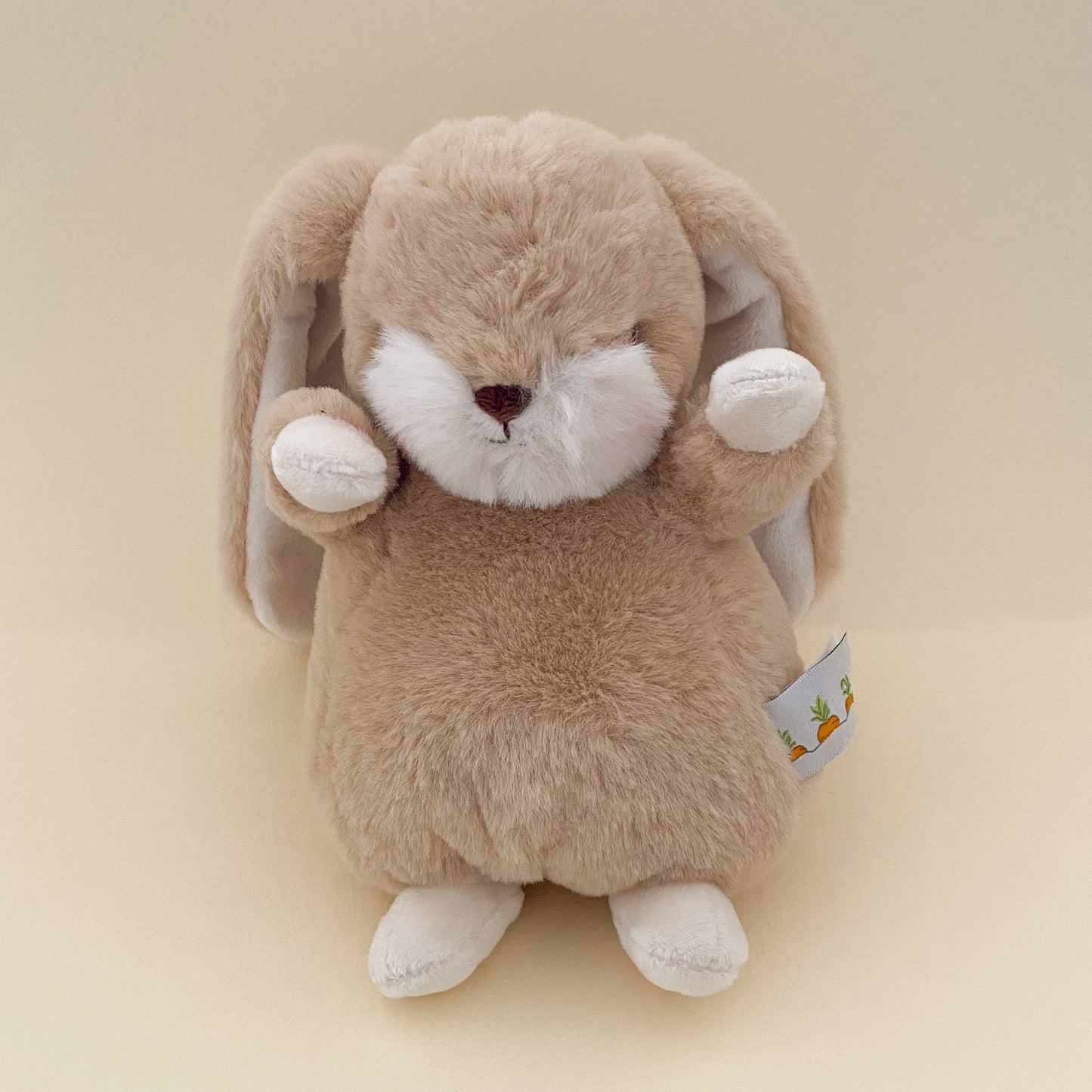 Floppy Eared Bunny