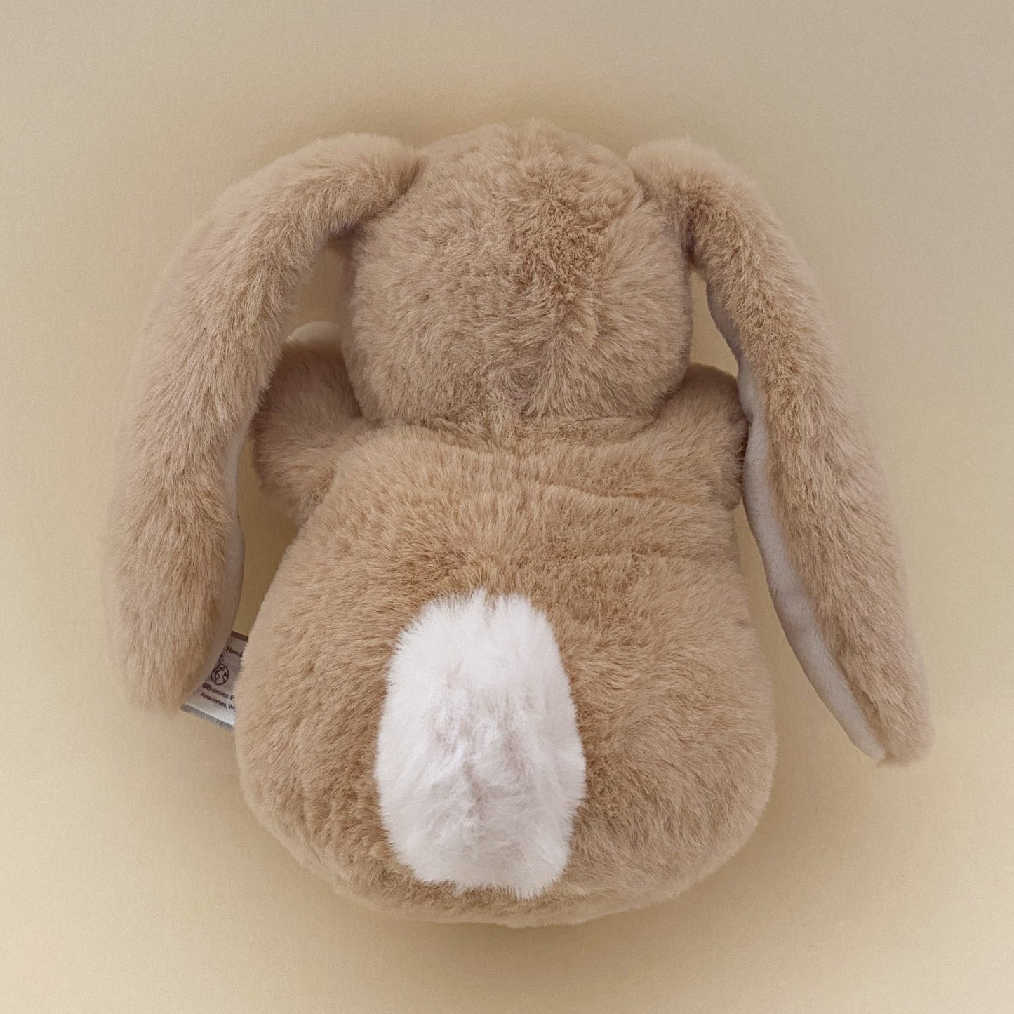 Floppy Eared Bunny