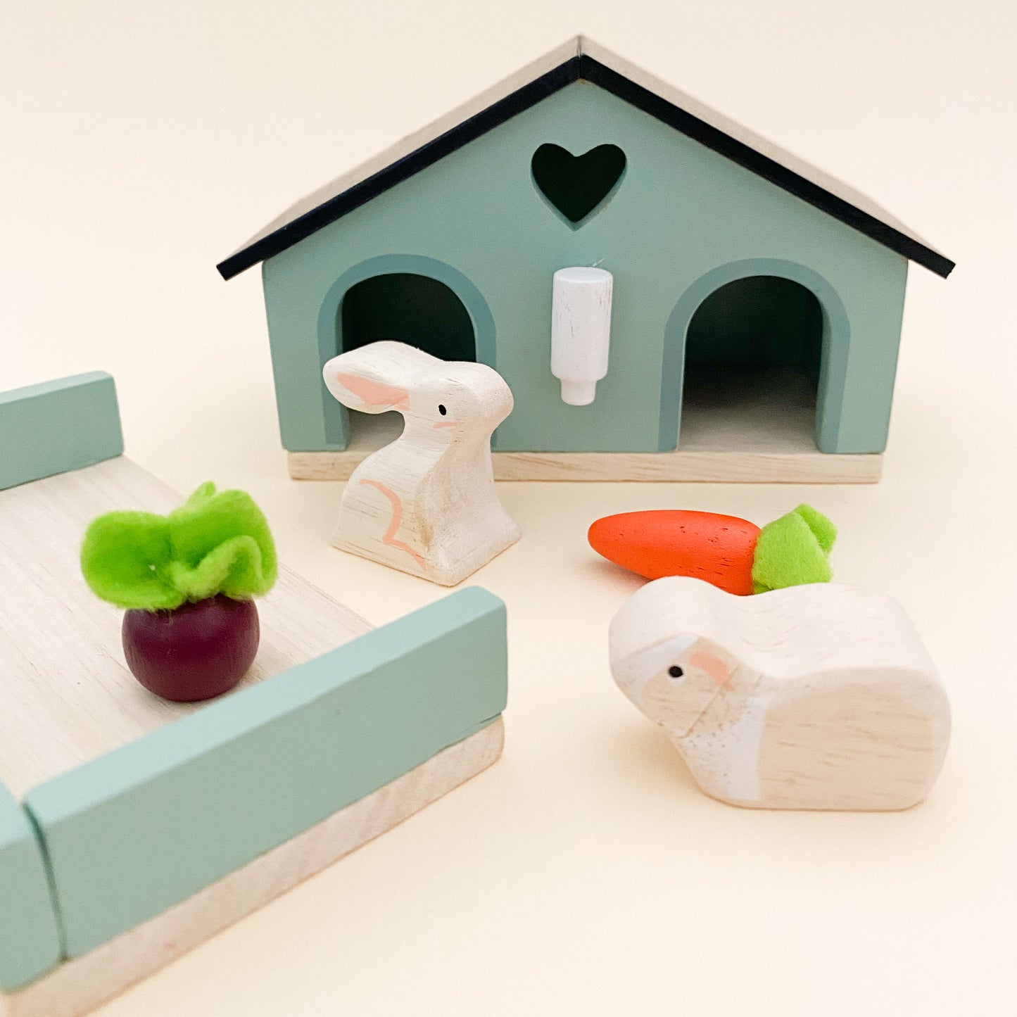 Pet Rabbits