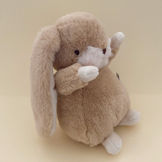 Floppy Eared Bunny