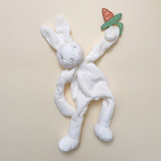 Bunny Paci Holder and Lovey